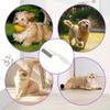 Pet Comb for Flea Dog and Cat Pet Brush for Dogs and Removes Shed Rounded Stainless Brushing Removal, Comb, Cats, Hair, Detangles, Washable, Hygienic,