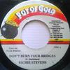 7inch Record RICHIE STEPHENS - Don't Burn Your Bridges NONE Pot Of Gold Jamaica Reggae, Ska & Dub Used