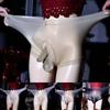 Mens Sissy Pouch Panties Ultra-Thin Sheer Briefs Lace Gay Underwear Erotic Lingeries Sexy Hot Invisible See Through Underpants