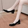 Rhinestone Suede Thick Heel Shoes Spring and Autumn Versatile Pointy Shallow Flat French Black Work Shoes