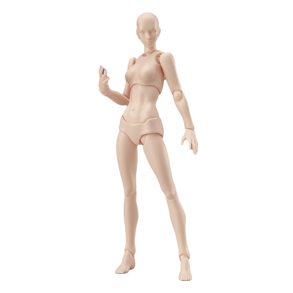 Movable Joints Sketch Drawing Model Male Female Action Figure Model Model Ornaments