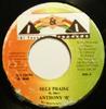 7inch Record ANTHONY B - Self Praise NONE I & I Foundatio 1999 Jamaica Reggae, Ska & Dub Used