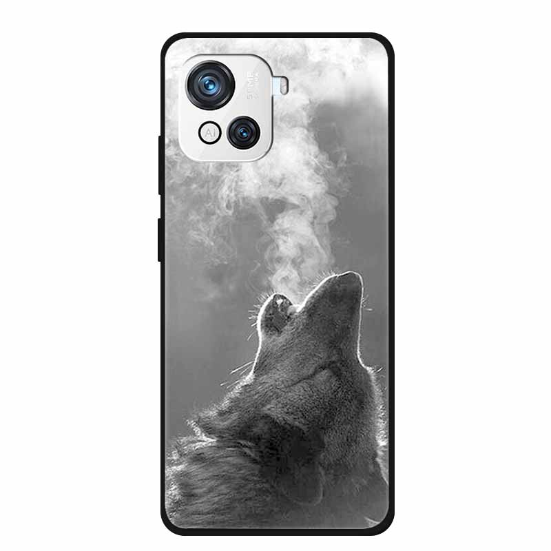 Для чехла Oscal C80 Защитная крышка 6.5" Крутой Лев Кошка Мягкий Силикон Задняя Панель Телефона Для Blackview Oscal C80 C 80 Бампер Чехол