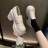 Retro French Mary Jane Shoes for Women's 2024 Japanese Spring New High-heeled Single Shoes with Skirts and Small Leather Shoes