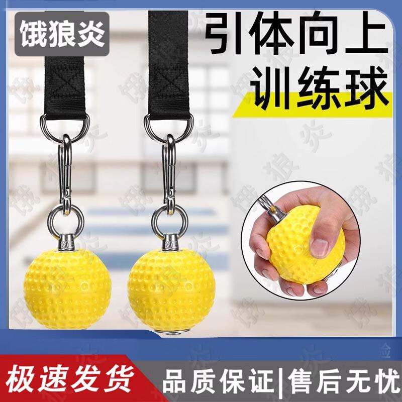 Elangyan Pull-Up Training Ball Set