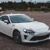 1 пара наклеек-царапин в виде лапы монстра для капота, кузова автомобиля, наклейки из ПВХ, графические листы для стайлинга автомобиля 32x19,5 см