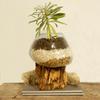 Melted Glass Bowl on Wood Stand