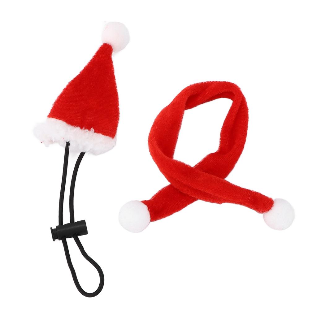 Lizard Hat Decor Crawling Pet Decorative Costume Bearded Dragon ?Supplies Adjustable Hat and Scarf