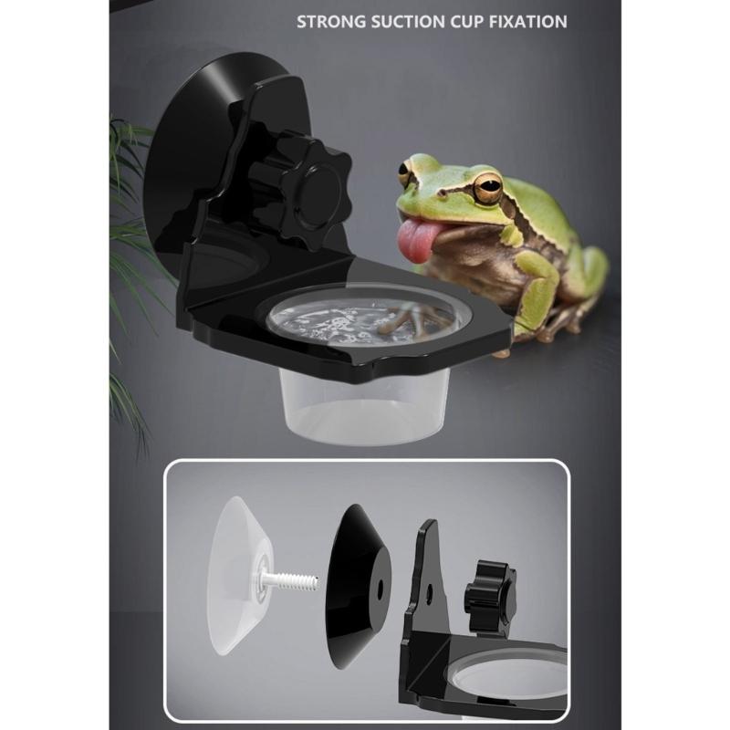 Террариумы для рептилий Настенная кормушка Миска для кормления с несколькими отделениями с присоской для маленьких питомцев Легкий монтаж