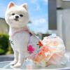 Dog Dress Butterflies Princess Style Colorful Wings Fluffy Tutu Dress Vibrant Color Lace Fabric Pet Dog Dress