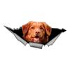 Car Stickers for Brown Hound Hidden In Holes, Waterproof Irregularly Shaped Car Decoration Decals