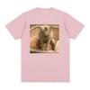 Kitty Cat Taking A Poop Kitten Joke T Shirts Men Women Funny Meme Short Sleeve T Shirt Summer Fashion Casual Cotton T-shirt Tops