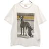 Short Sleeve T-shirt M White Doberman Men's Used