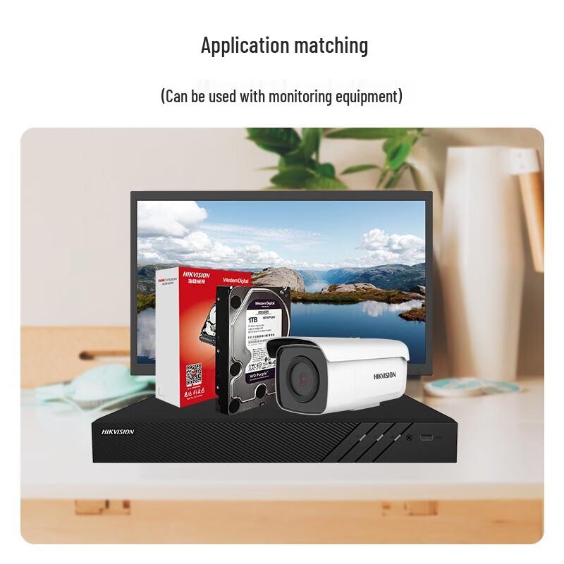 Hikvision WD Purple Surveillance Hard Drive