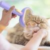 Pet Comb, Cat Hair Removal Tool, Cat Hair Removal Comb, Special Cat Comb, Dog Needle Comb