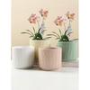 Simple Ceramic Flower Pot with Tray