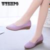 Women's Spring and Summer Shoes Single Shoes Low Thick Heel Casual Shoes Autumn All-match Work Shoes