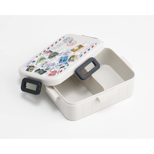 Skater Disney Bento Box, 100ml, 650ml, Antibacterial, 4-Point Lock, Women's, Made in Japan, YZFL7AG-A