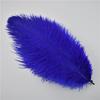 10Pcs/Lot 25-30Cm Ostrich Feathers For Crafts Party Decoration Jewelry Creation Natural Feather For Needlework And Handicrafts