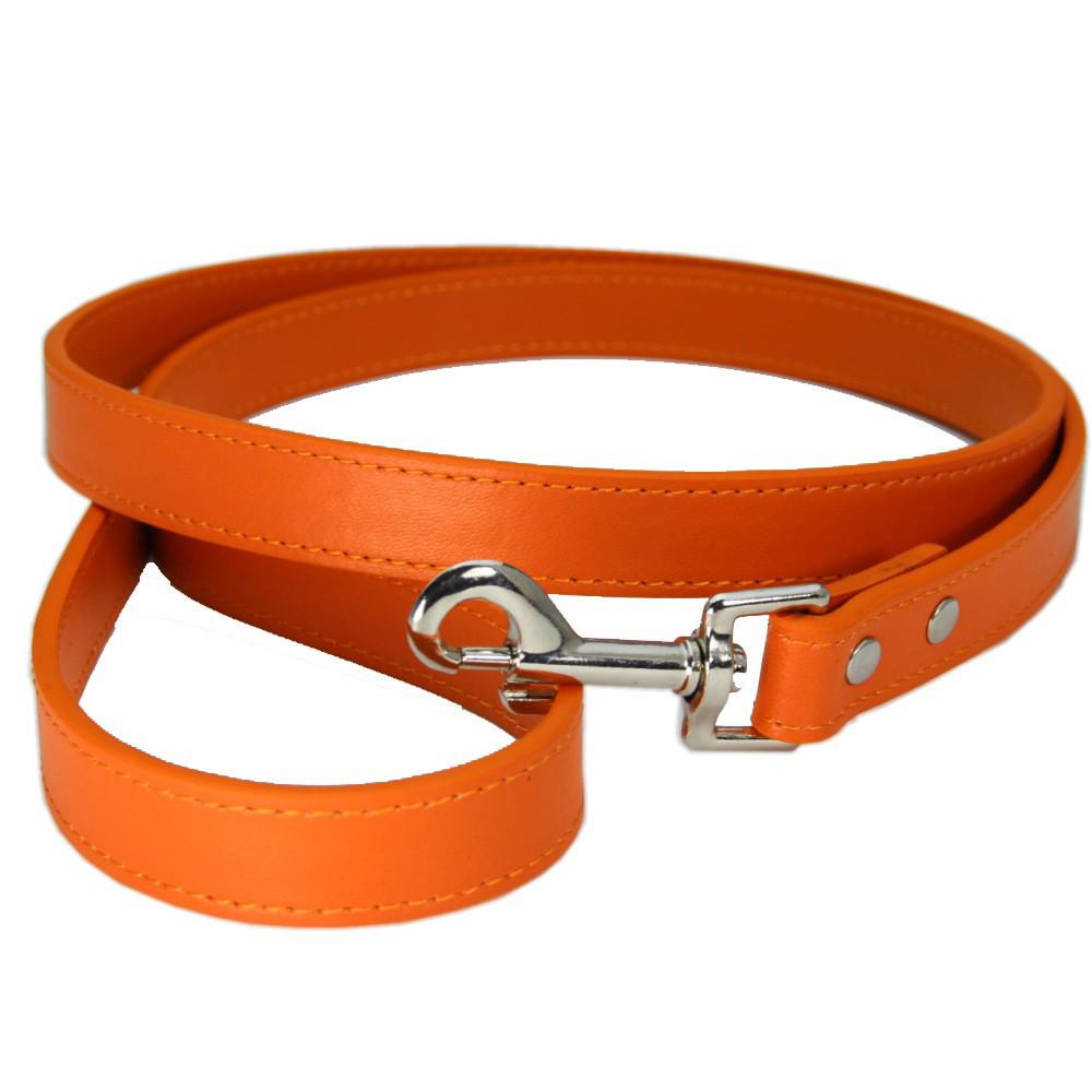 Spot Pet PU Leather Dog Leash and Cat Harness
