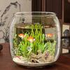 Transparent Landscape Fish Tank Ultra Clear Fish Bowl Ecological Tank  Living Room