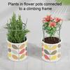3/5/10Pcs/Set Monstera Plant Support Stake Stackable Garden Plant Support Pole Indoor Outdoor Tall Potted Climbing Plant Holder Stick Moss Pole