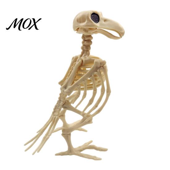 Durable Skeleton Animal Model Halloween Skeleton, Realistic Fish Bird Spider Snake Cat Spooky Figure for Party, Haunted House, Graveyard Scene