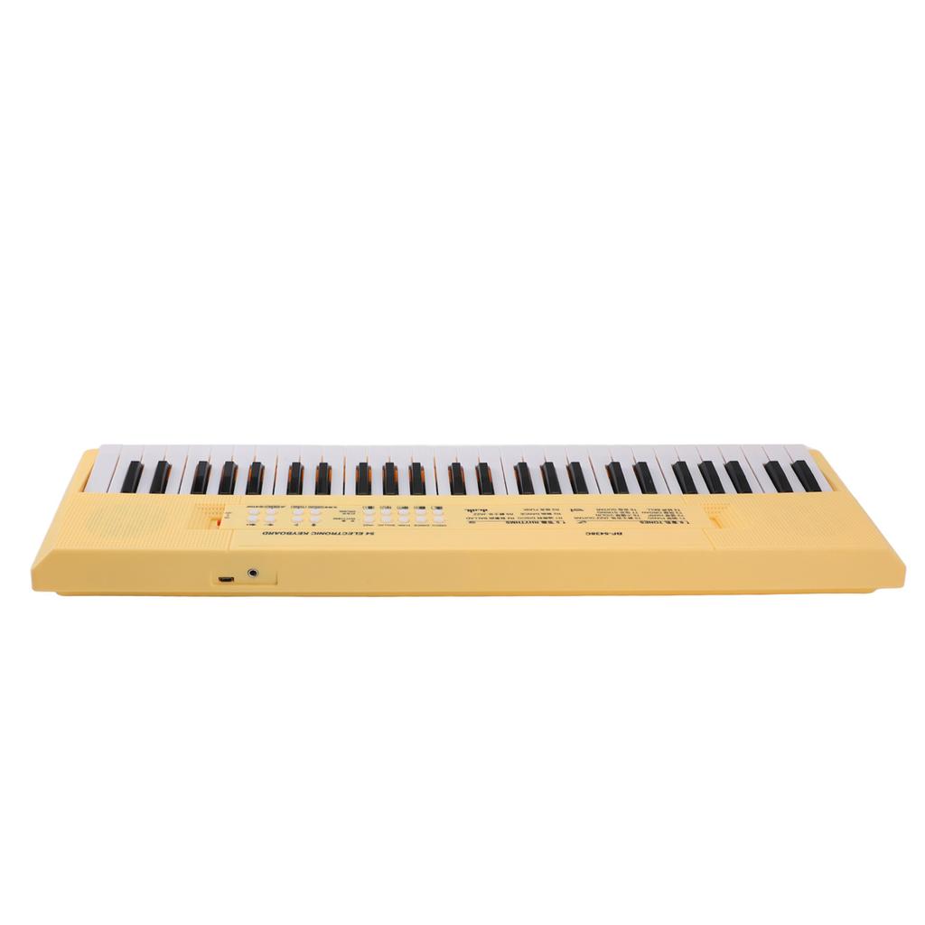 54 Key Electronic Piano Keyboard with Wired Microphone Support Recording Multifunction Kids Electronic Piano Music Keyboard