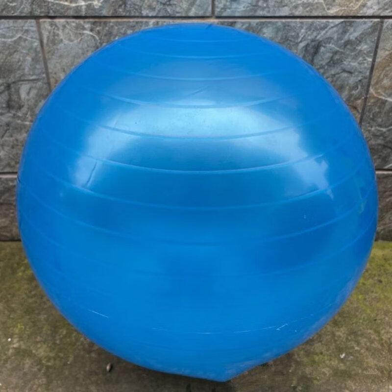 WEZHO Yoga and Pilates Ball