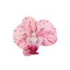 Women Girls Summer Beach Orchid Flower Hair Clip Hawaiian Boho Butterfly Orchid Hair Barrettes Hair Accessories