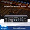 Bluetooth 5" & 6" Professional High-Power Bass Karaoke Amplifier
