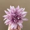 Hair Accessories Artificial Flowers Hair Clip Photo Props Simulated Flower Headpiece  Girls