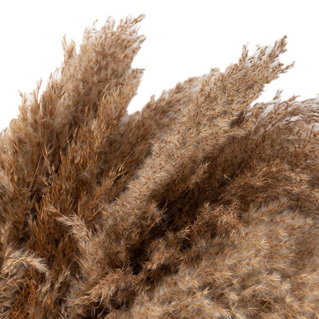 50 Pcs Dried Pampas Grass, Artificial Plant Reed Rabbittail Bouquet Home Decoration Boho Wedding Decoration