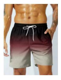 Beach Shorts, Informal Hawa Style Trend Steps for Outdoor Summer Clothing Printed Shorts