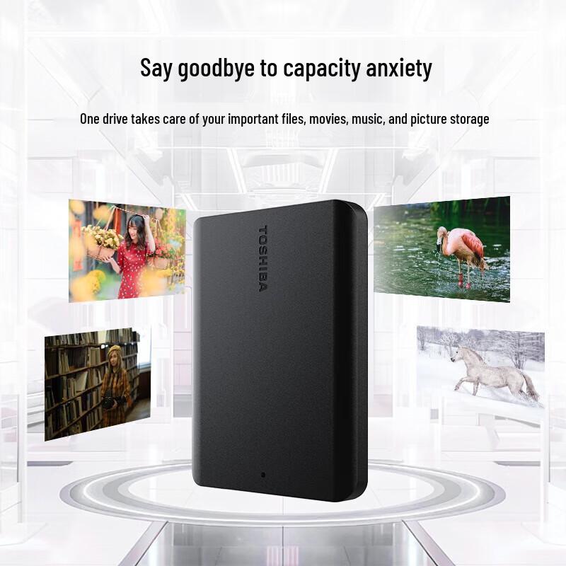 Toshiba Canvio Basics Portable External Hard Drive