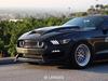 Указатели поворота для бампера Ford Mustang 2015-2017 годов
