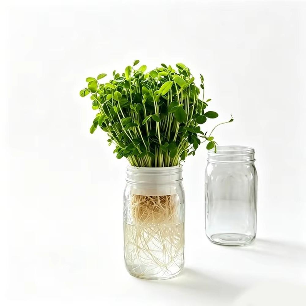 2/4pcs Drain Hole Seed Sprouting Trays Plastic Deep Tray Microgreens Sprouting Kit