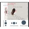 American Bathroom Door Lock Bathroom Keyless Three-pole Hand Lock Home Bedroom Door With Key Door Handle Spherical Lock Doorknob