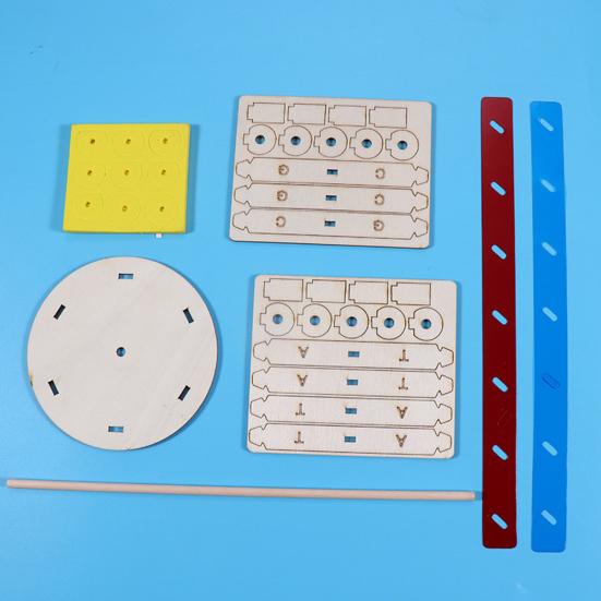 1 Набор Интересный Стимулировать Воображение Улучшить Концентрацию Инновационная Структура Двойной Спирали Модели ДНК Детские Игрушки Экспериментальное Оборудование