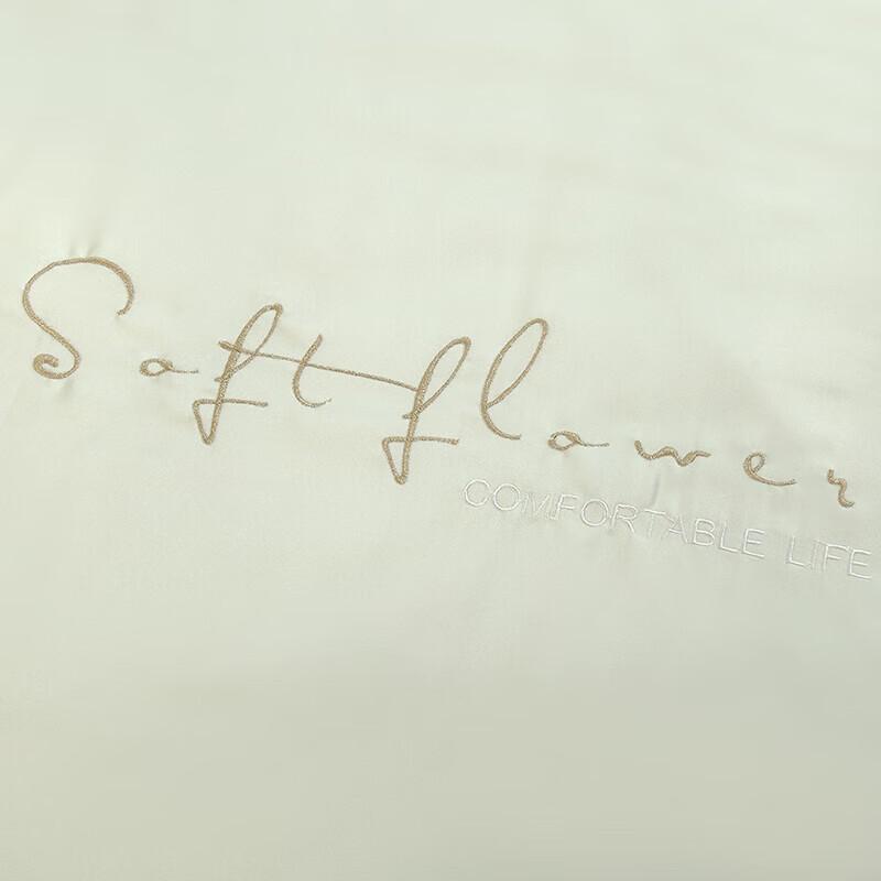 Jieliya Hua Yan Tencel Antibacterial Quilt