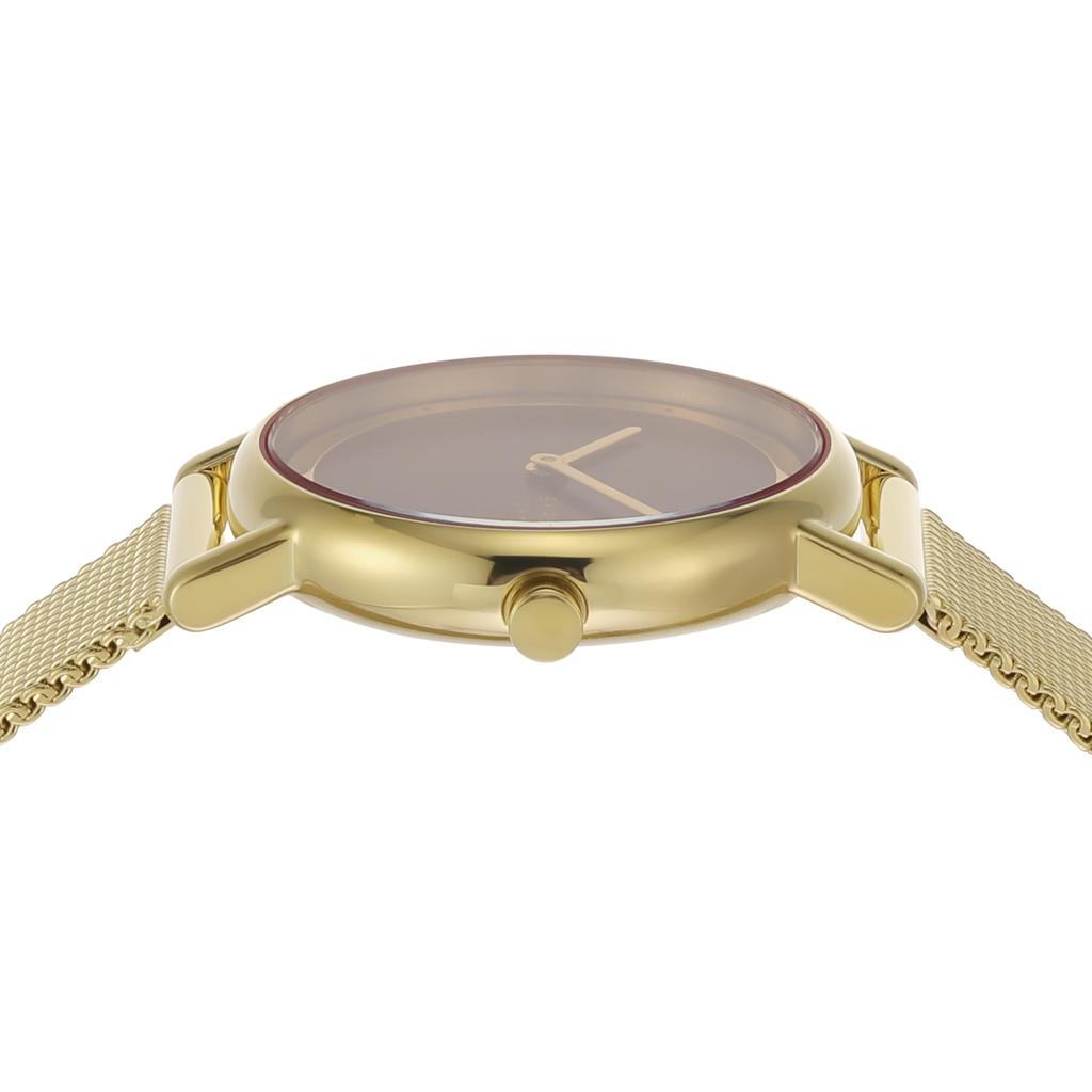 Часы SIGNATUR LILLE SKW3117 Gold [Skagen] Женские