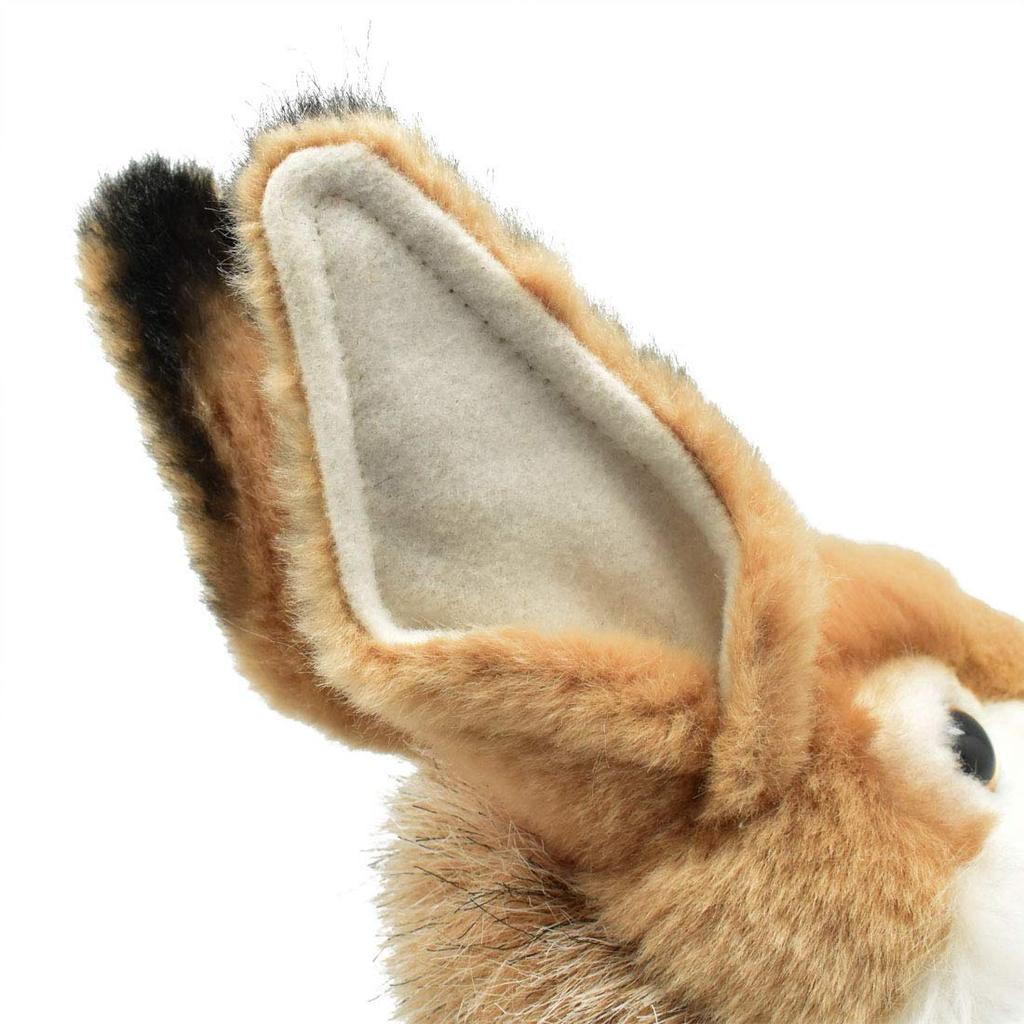 BH3316 HANSA Rabbit 30