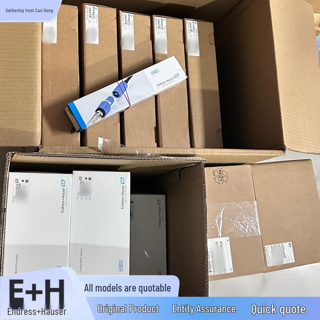 FTM51-AGK5M4A12AA E+H Endress+Hauser Предельный выключатель с камертонным элементом Доступен