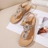 Fashion 2025 Summer Shoes Women Sandals Flip Flops Flat Ladies Sandals Bohemian Style Brand Holiday Shoes Plus Size 42 D346
