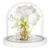 BENECREAT 14x14cm Clear Glass Dome with Wooden Base for Eternal Flowers, Cloche Dome, Micro Landscape, DIY Flower Craft Decoration (White)