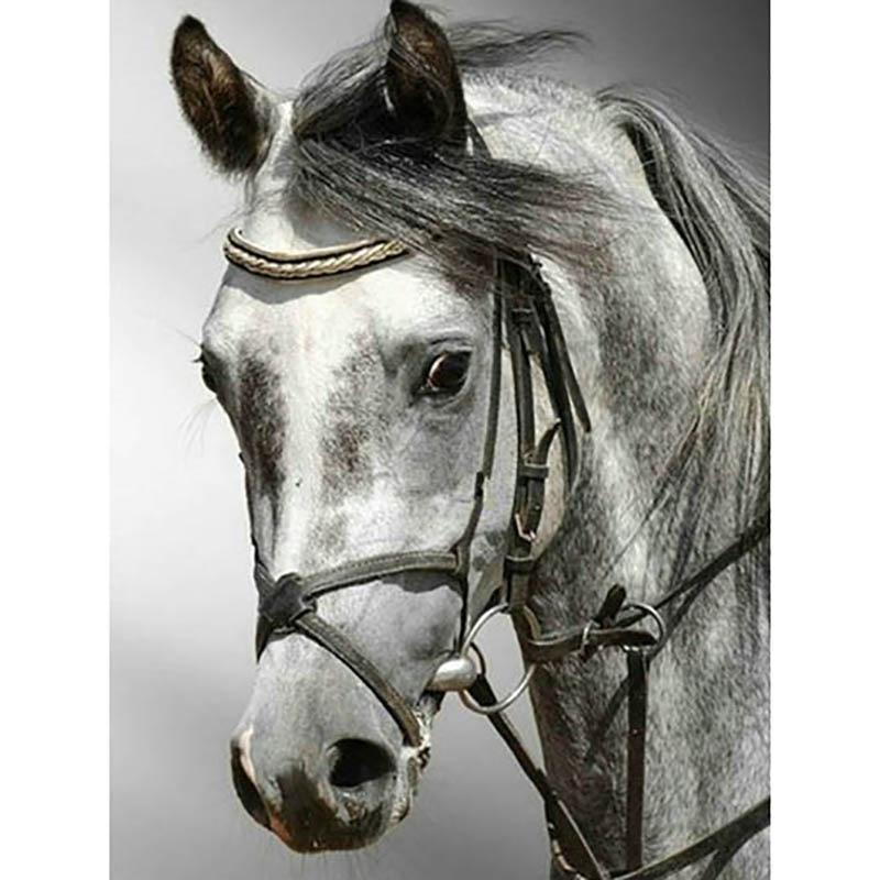 Полный 5D алмазов картина скачущий конь DIY Алмазная вышивка Алмазная мозаика наборы крестиков домашний декор подарок