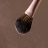 Blusher Brush