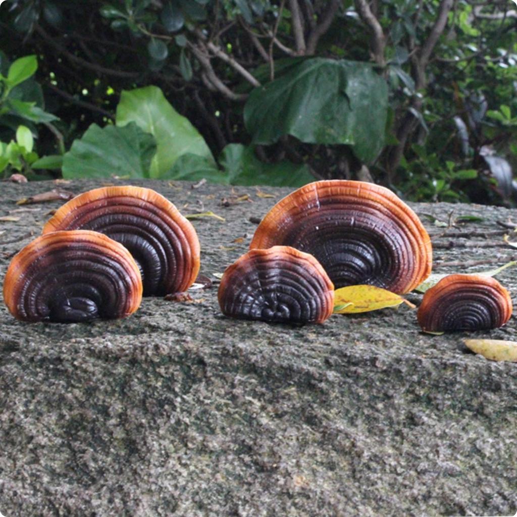 Ganoderma Ornament Layered Resin Mushrooms Ringed Hanging Decor for Planted