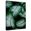 Canvas Print, Tropical Leaves Nature