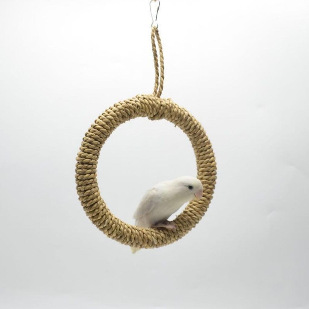 Rattan Hand-woven Round Parrot Hanging Ring Bird Nest Pet Chew Stick Lizard Hammock Cage Toy Bird Swing Zhenze Cao County